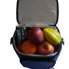 Il pranzo personale porta la borsa del dispositivo di raffreddamento di picnic con il compartimento due