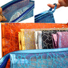 Chiara borsa portatile alla moda di trucco nella caratteristica riutilizzabile della maglia di nylon